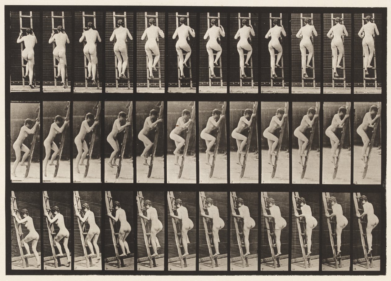 Plaat 112. Ladder Beklimmen door Eadweard Muybridge