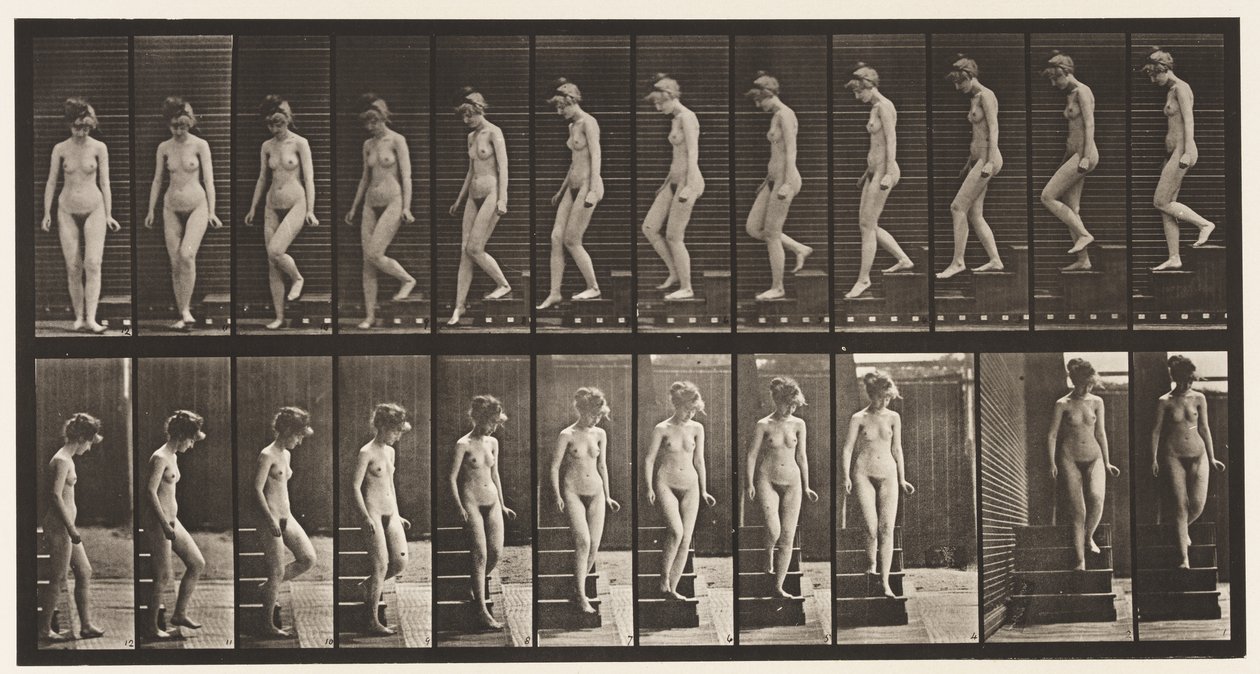 Plaat 137. Trap aflopen, omdraaien door Eadweard Muybridge