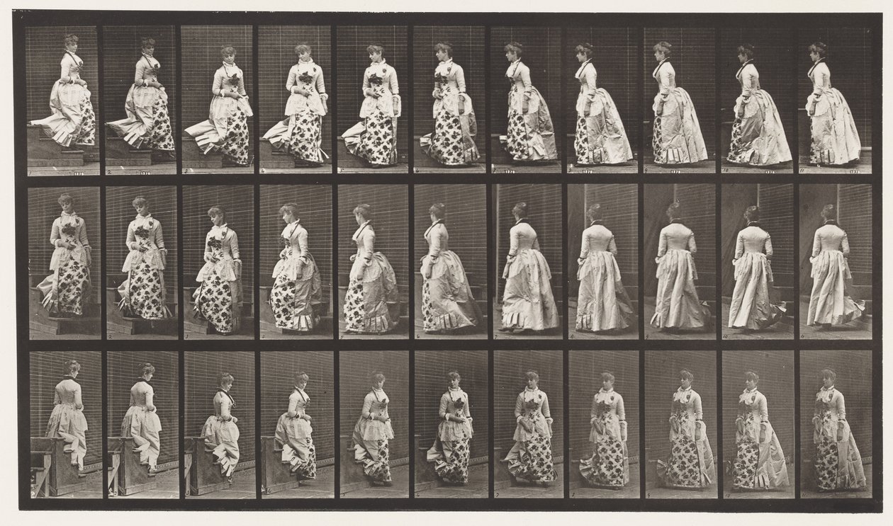 Trap Af Dalen en Draaien, 1885 door Eadweard Muybridge
