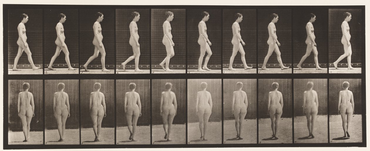 Plaat 15. Lopen door Eadweard Muybridge