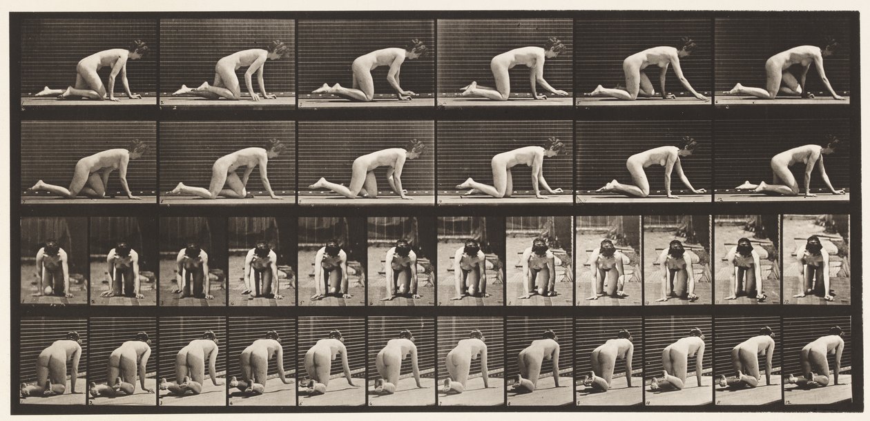 Plaat 182. Kruipen op handen en knieën door Eadweard Muybridge