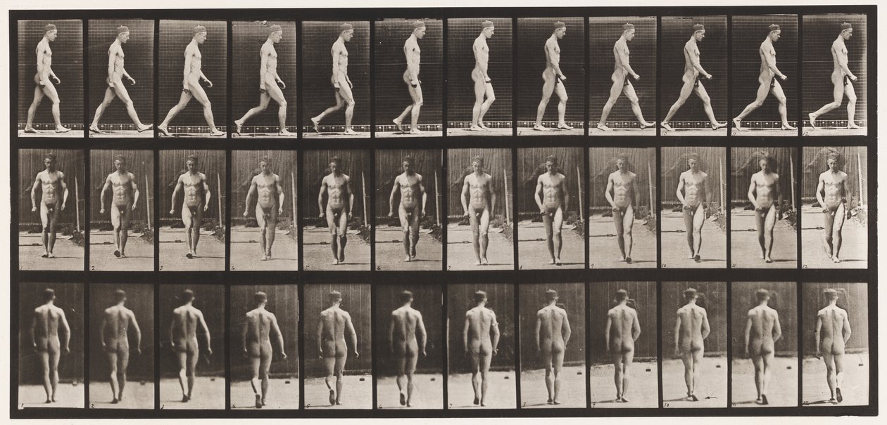 Plaat 1. Wandelen door Eadweard Muybridge