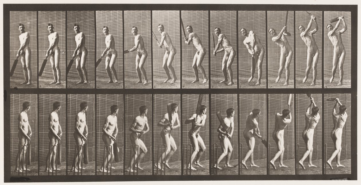 Cricket; slaan; drive door Eadweard Muybridge