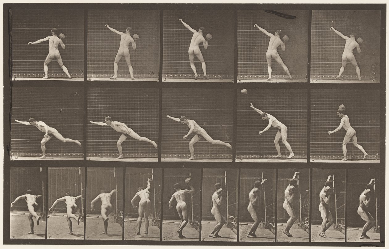 Plaat 313. Een 20-ponds rots heffen, 1885 door Eadweard Muybridge