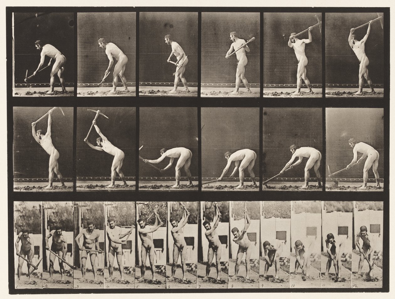 Plaat 385. Boer, met een houweel, 1872-1885 door Eadweard Muybridge