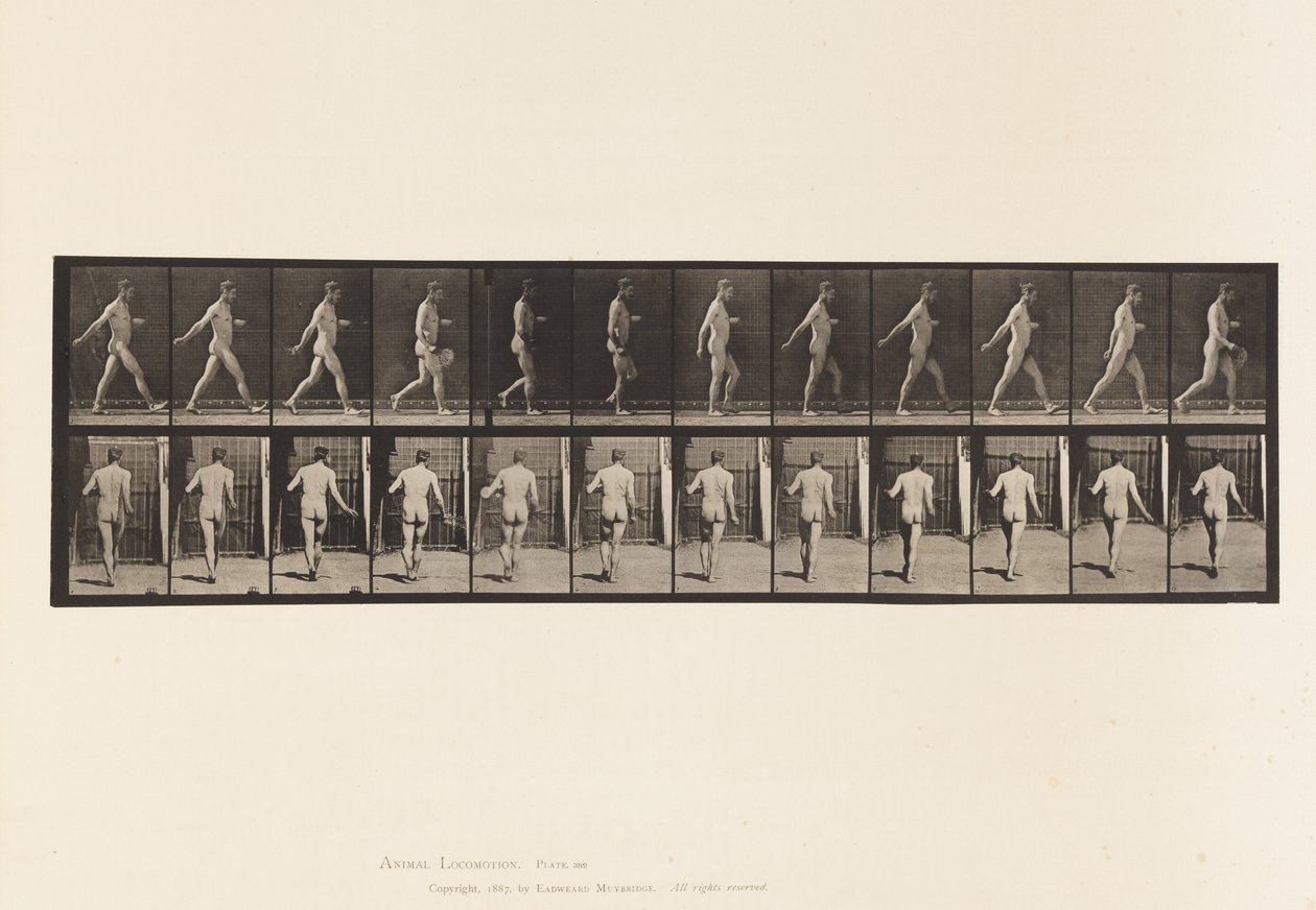Boer, zaait zaad door Eadweard Muybridge