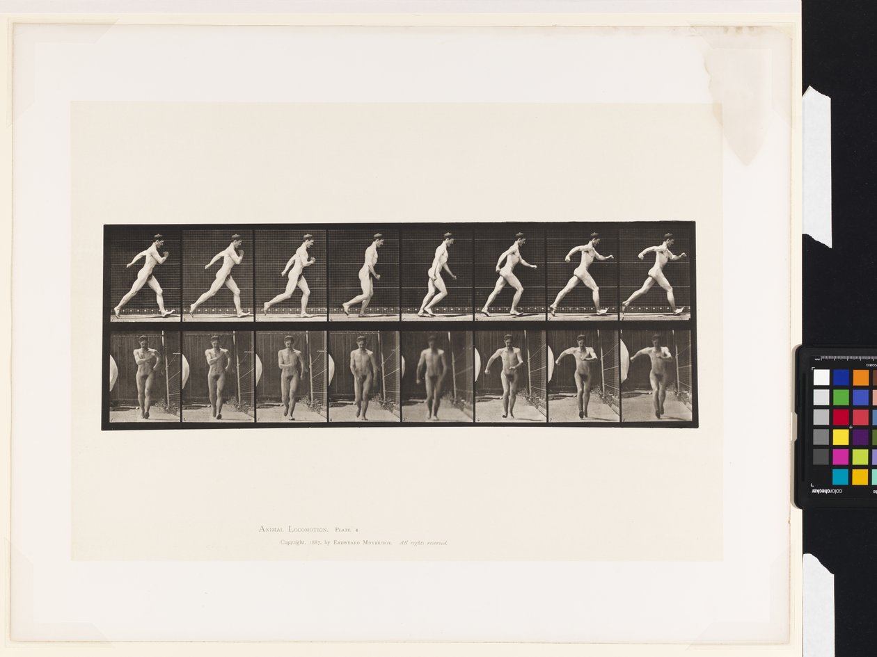 Plaat 4. Wandelen door Eadweard Muybridge