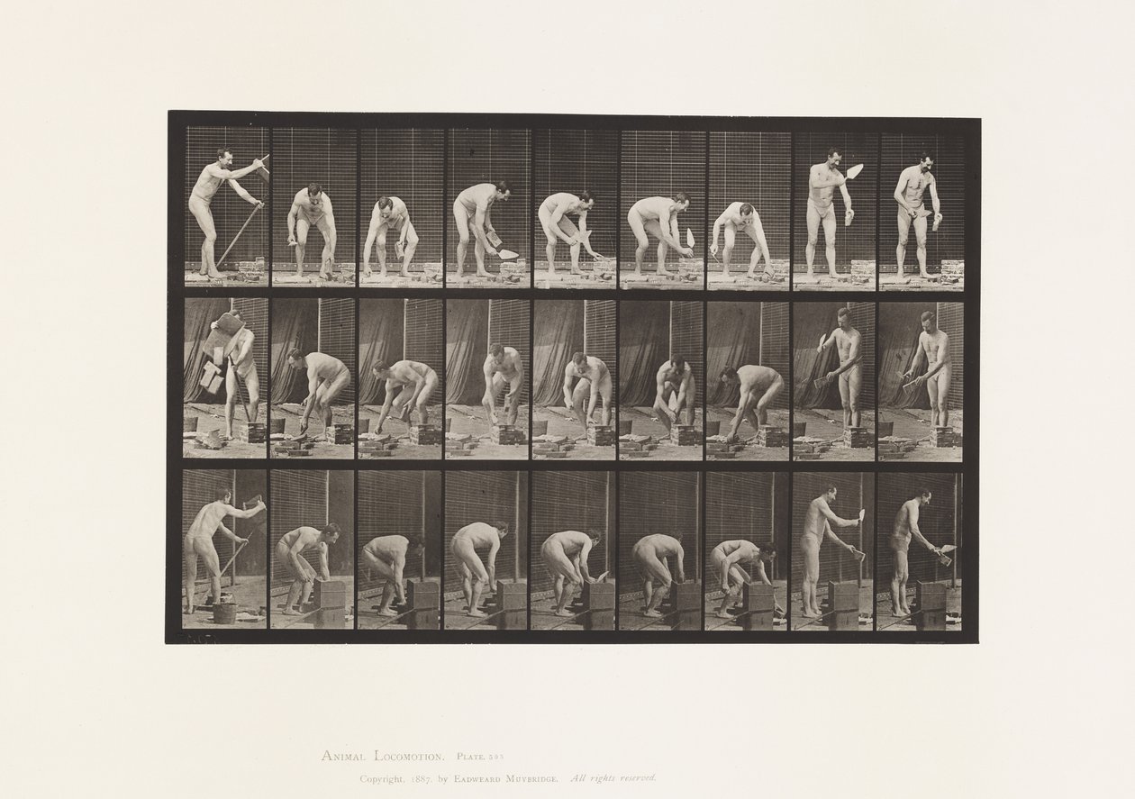 Plaat 505. Metselen door Eadweard Muybridge