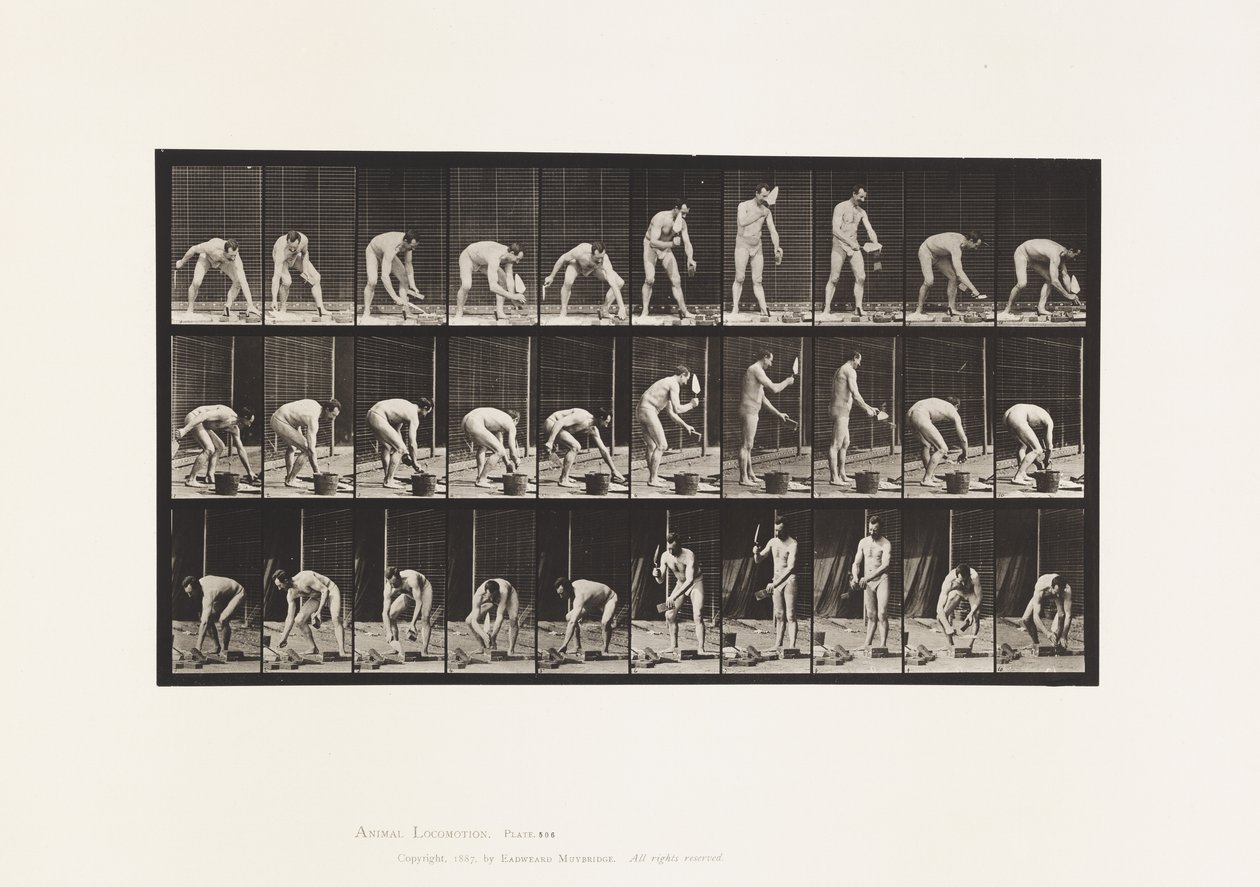 Plaat 506. Metselen door Eadweard Muybridge