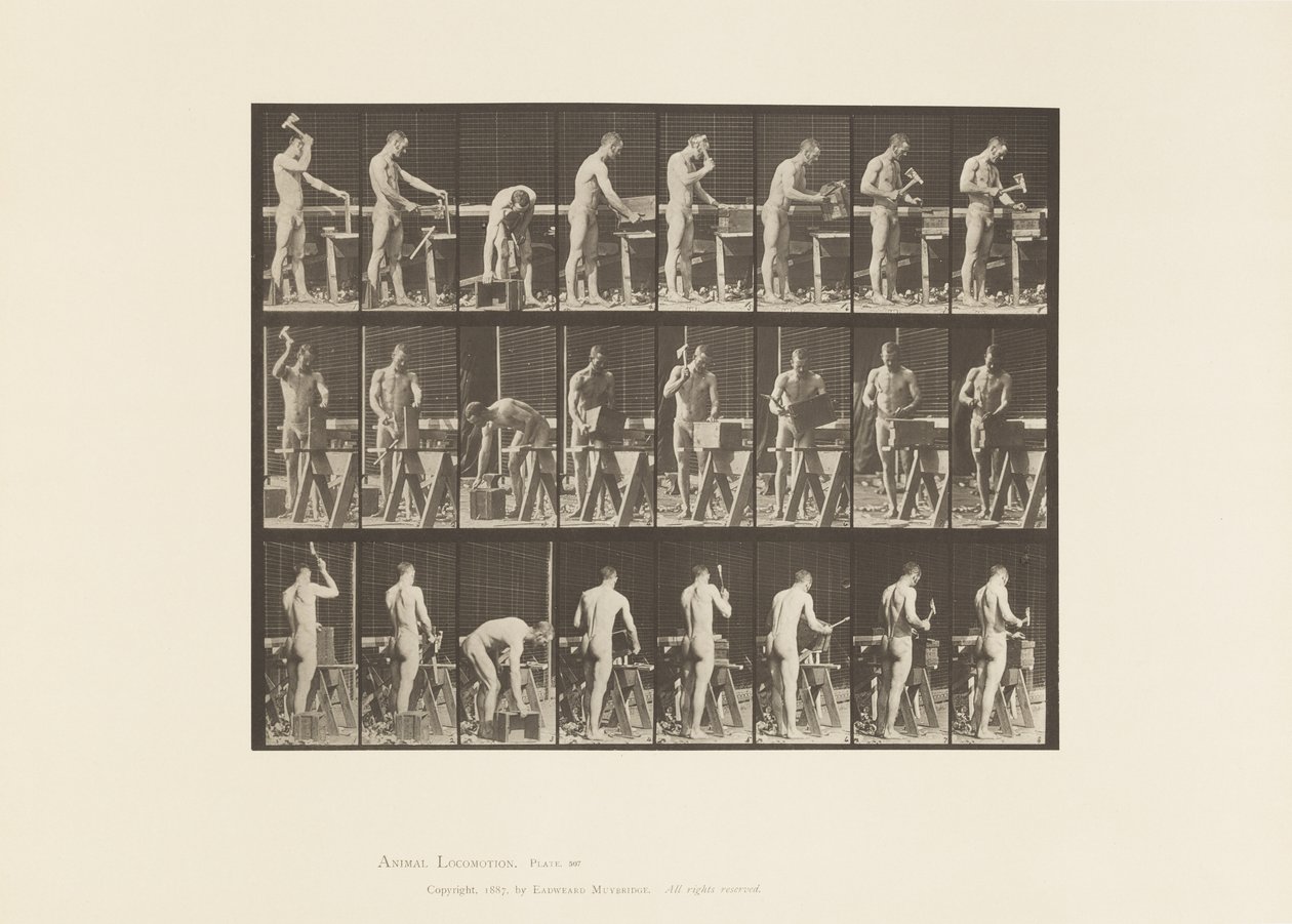 Plaat 507. Timmerwerk door Eadweard Muybridge