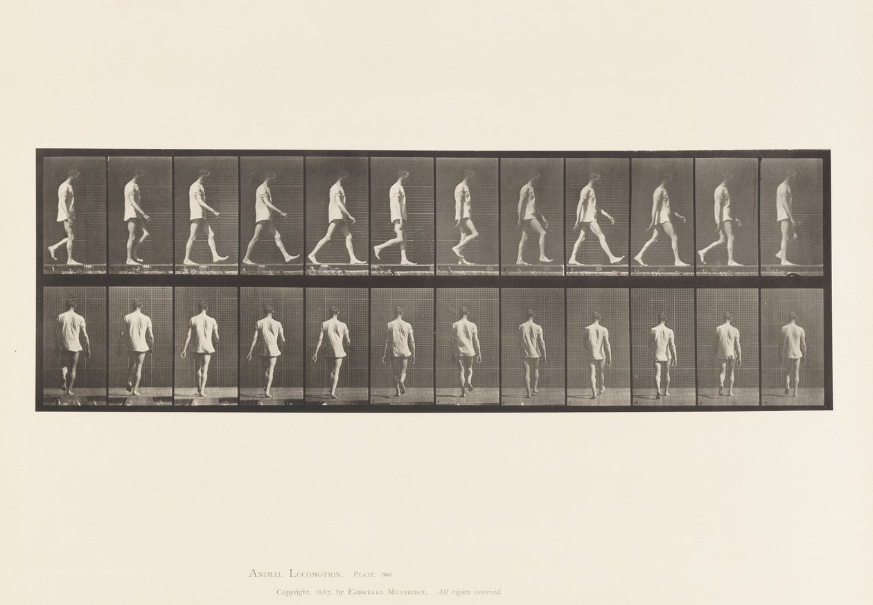 Plaat 560. Locomotorische ataxie; lopen, 1885 door Eadweard Muybridge