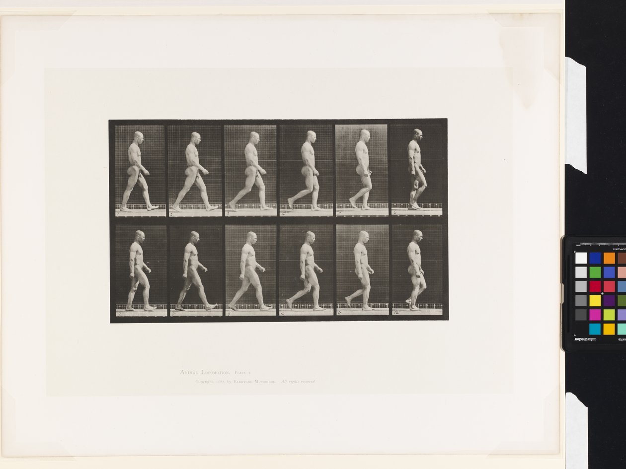 Plaat 6. Lopen door Eadweard Muybridge
