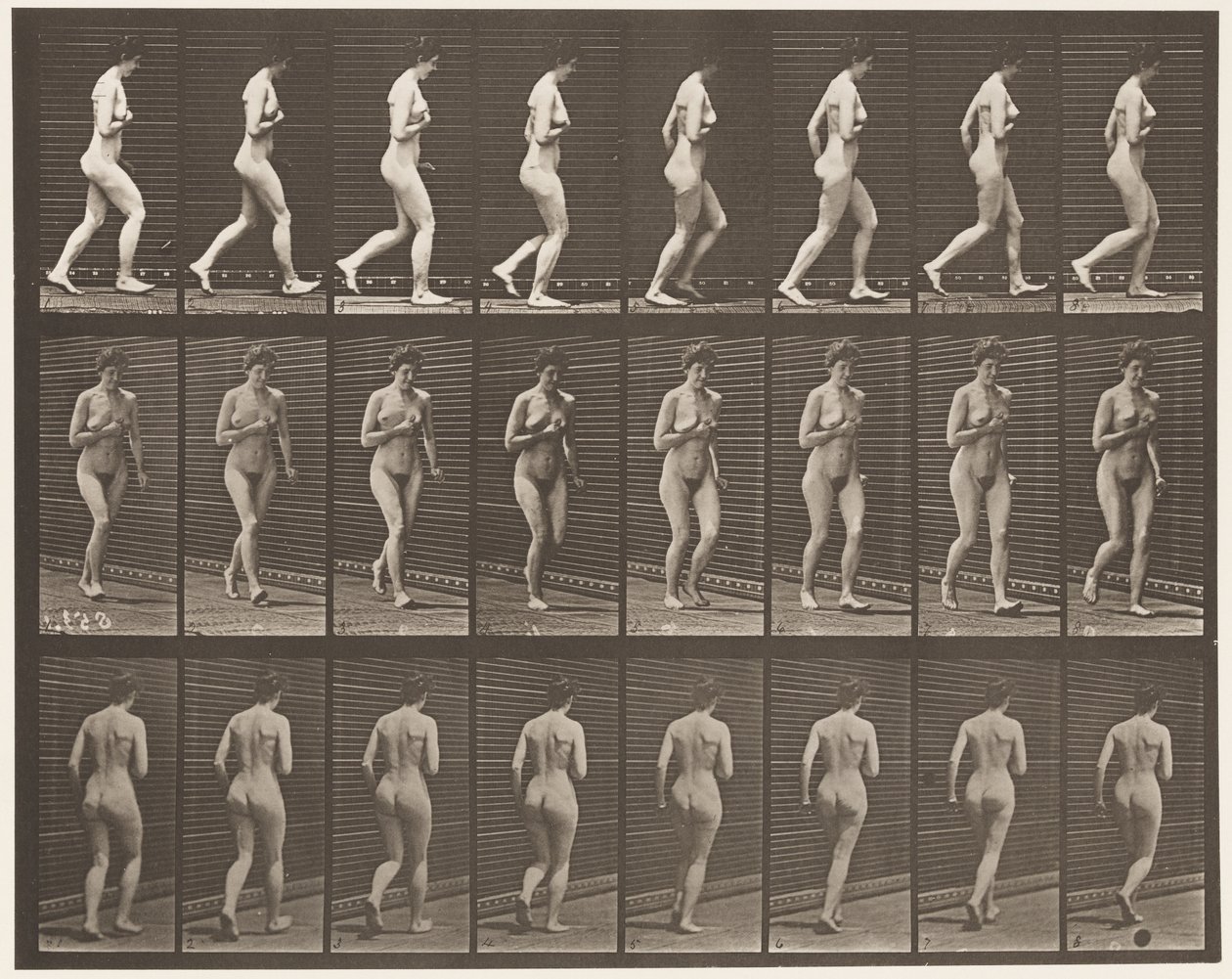 Rennen door Eadweard Muybridge