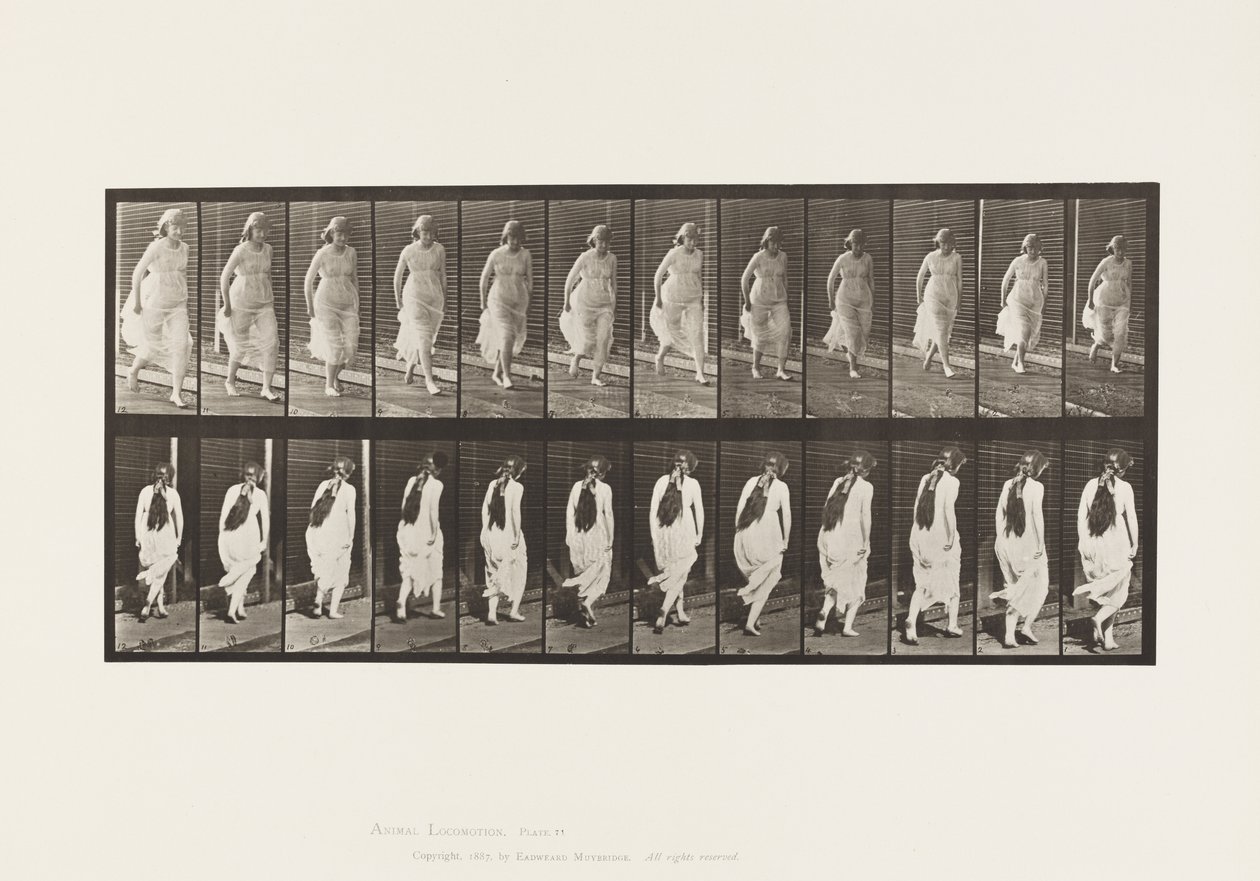 Plaat 71. Rennen, 1885 door Eadweard Muybridge