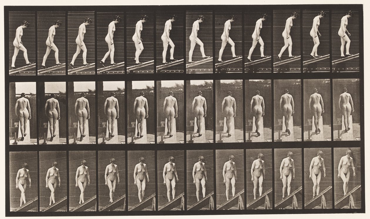 Hellend vlak beklimmen door Eadweard Muybridge