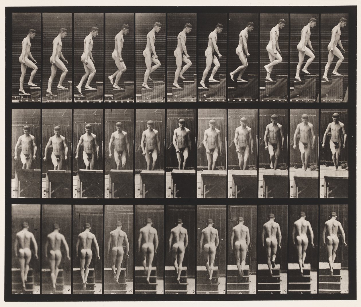 Trap oplopen door Eadweard Muybridge