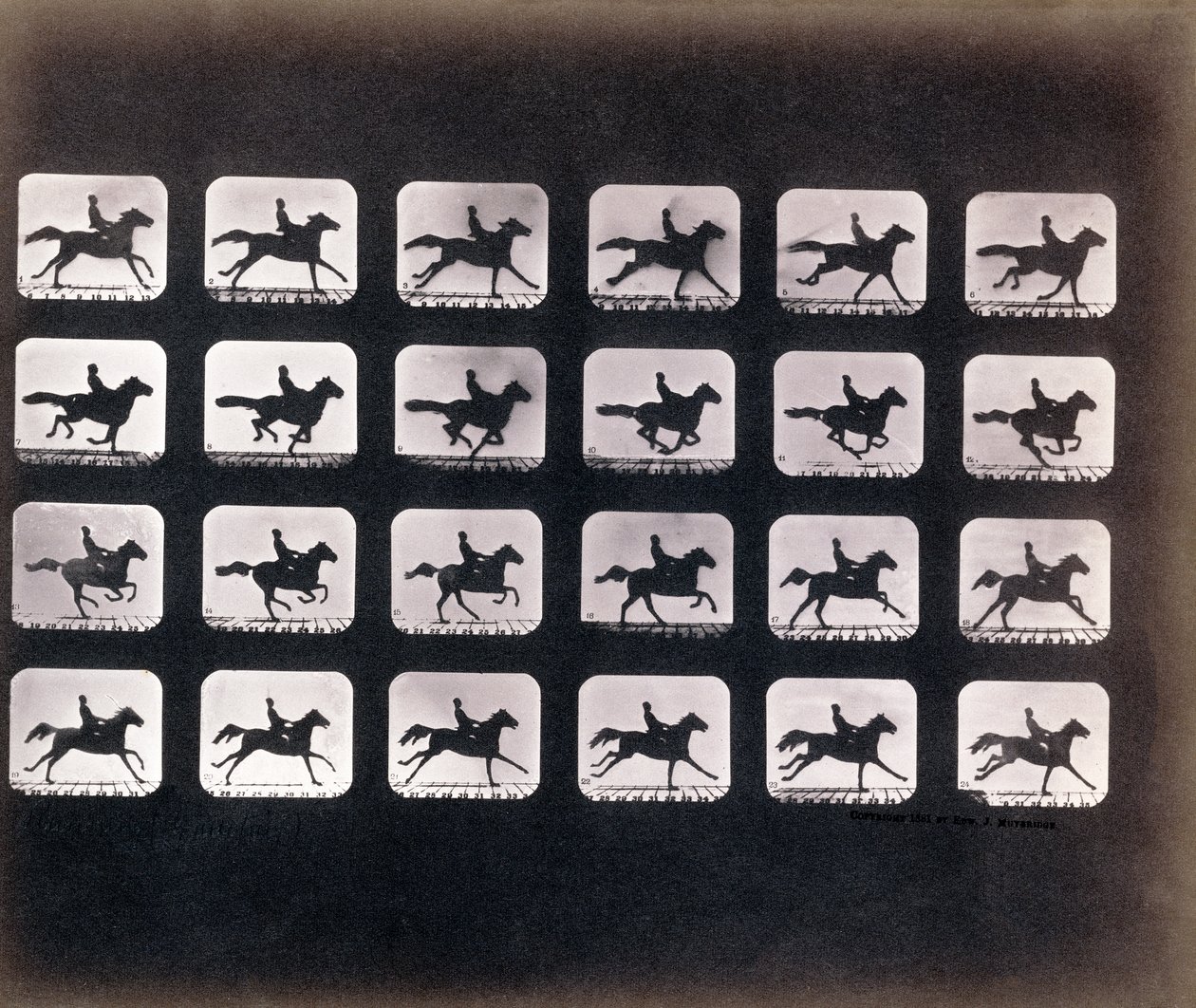 Rennen (Galopperen) door Eadweard J. Muybridge door Eadweard Muybridge