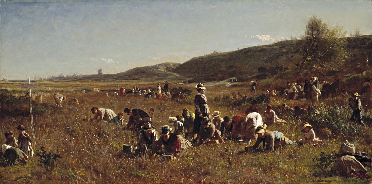 De Cranberry Oogst. Eiland Nantucket, 1880 door Eastman Johnson