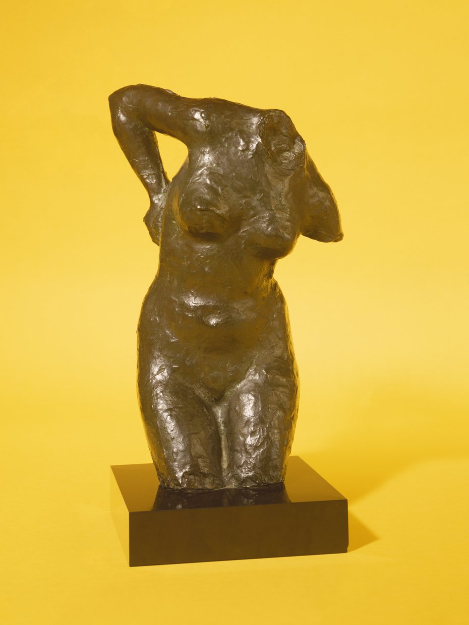 Torso door Edgar Degas