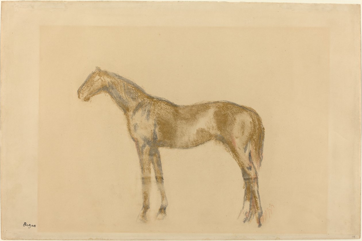 Paard door Edgar Degas