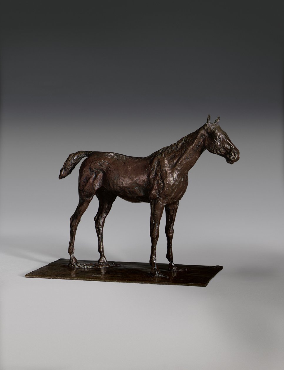 Staand Paard door Edgar Degas