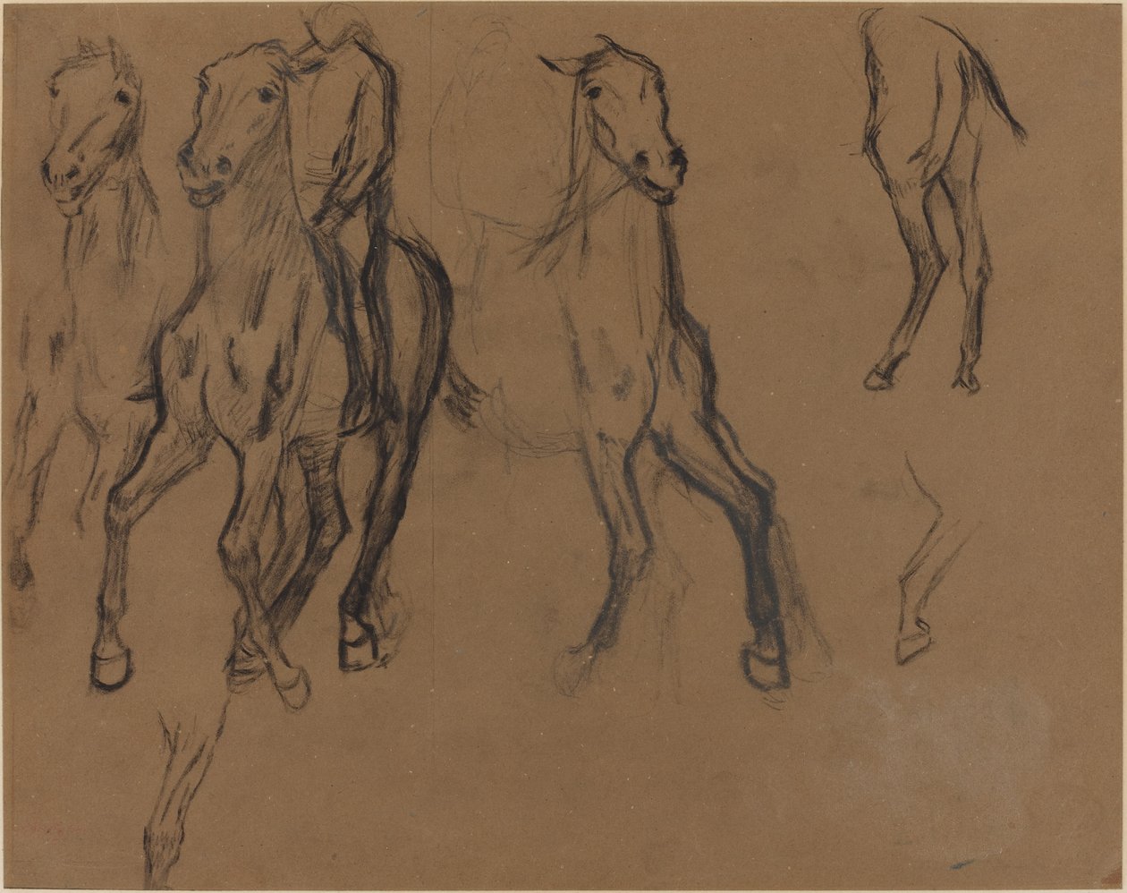 Studie van Paarden door Edgar Degas