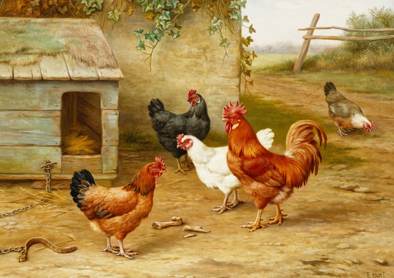 Pluimvee bij Kennel door Edgar Hunt
