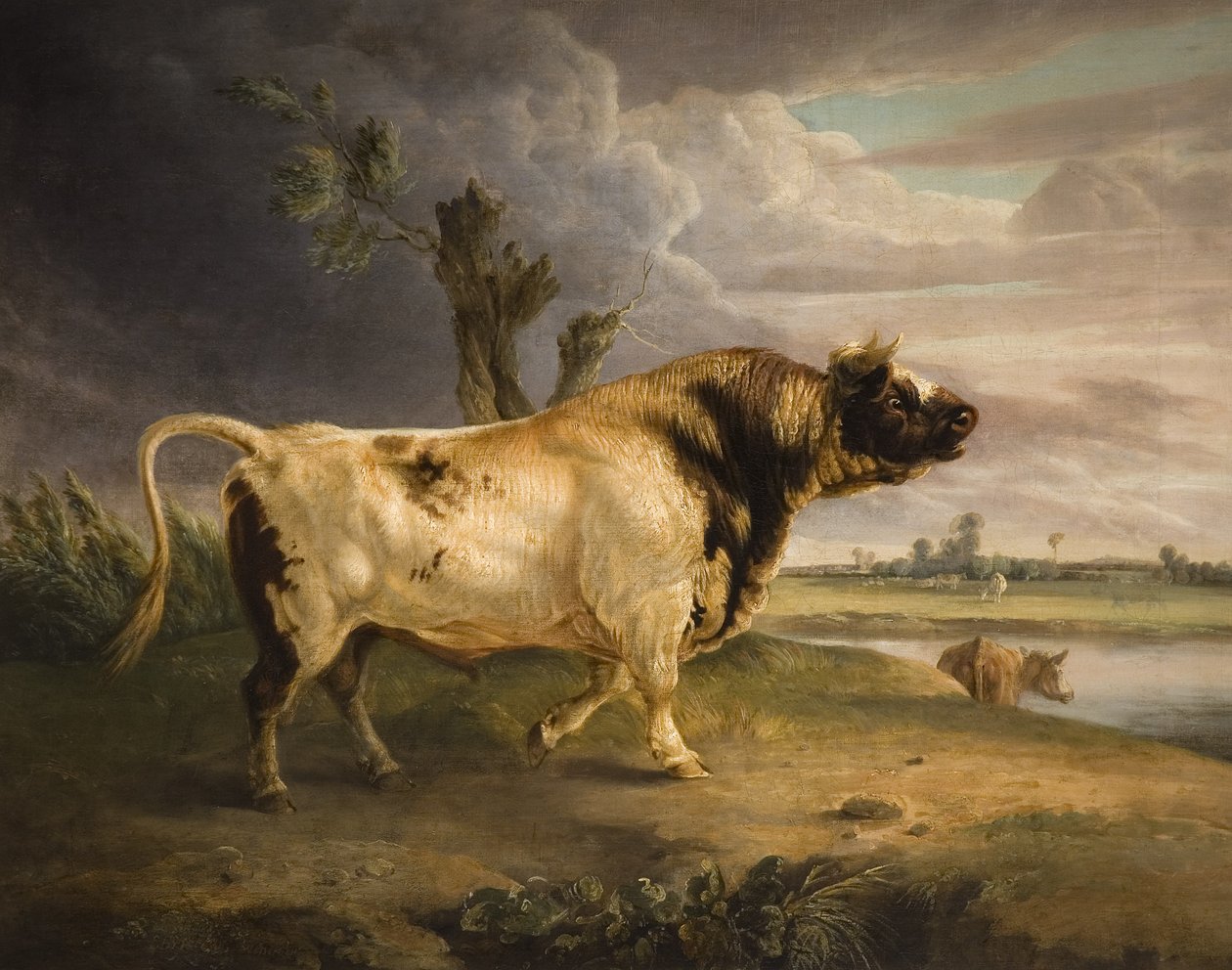 Een prijsstier door Edmund Bristow