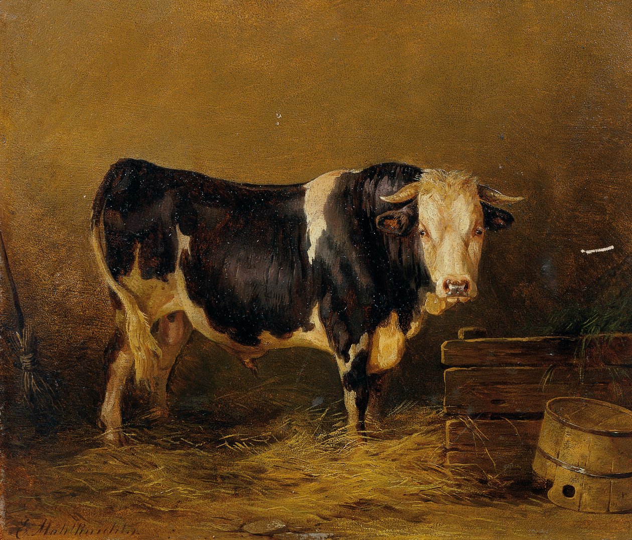 Stier in de stal door Edmund Mahlknecht