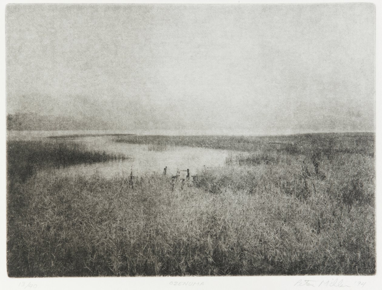 Ozenuma, 1994 door Edouard Cremieux