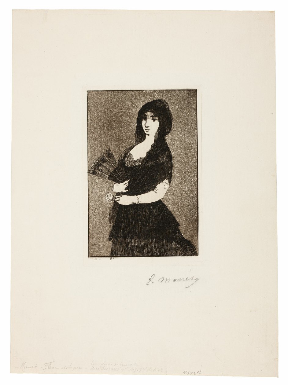 Exotische bloem (Vrouw in een mantilla) door Édouard Manet