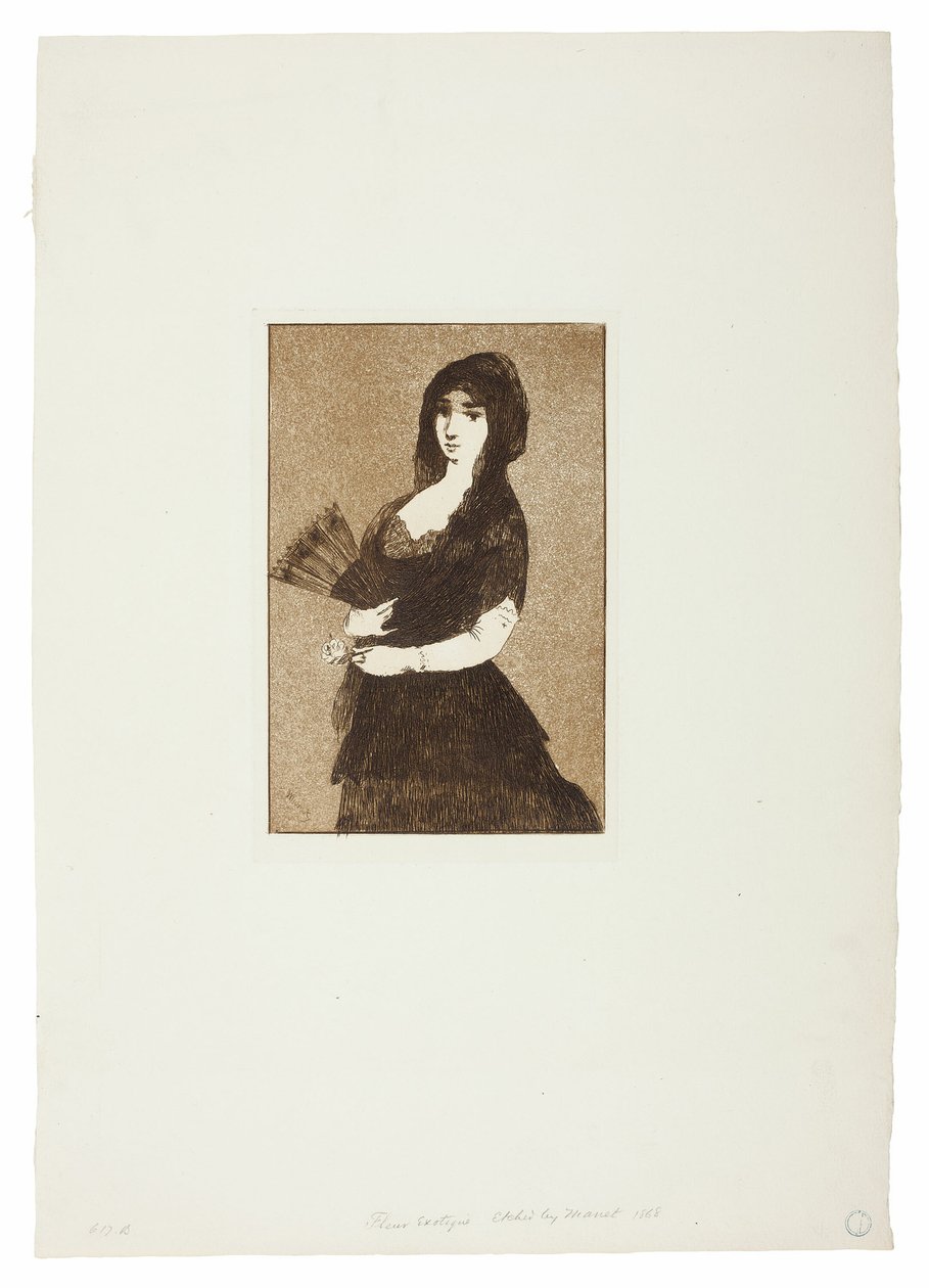 Exotische bloem (Vrouw in een mantilla) door Édouard Manet