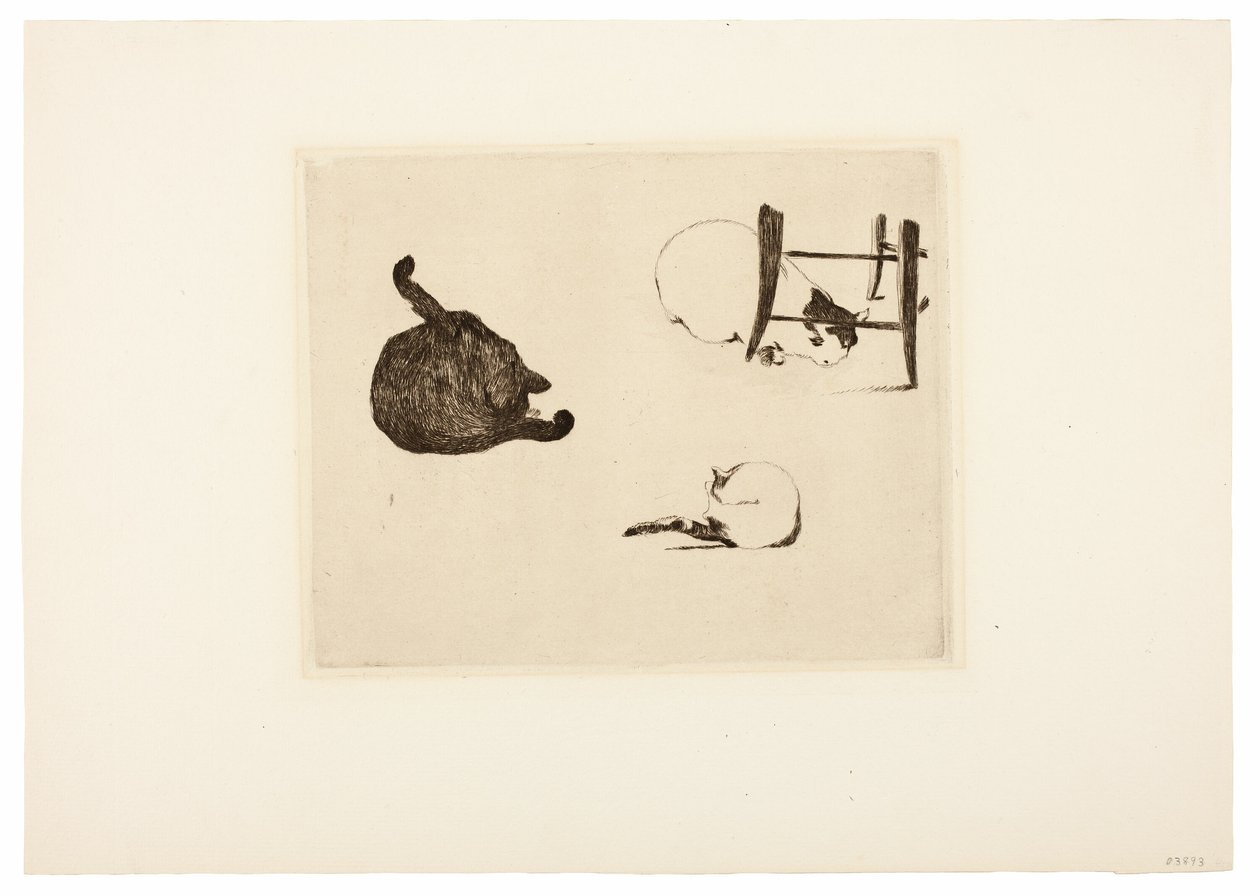 De Katten door Édouard Manet