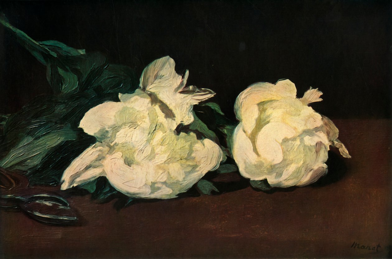 Witte pioenen door Édouard Manet