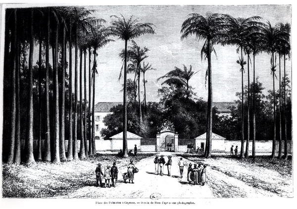 Place des Palmistes, Cayenne, Guyana door Edouard Riou