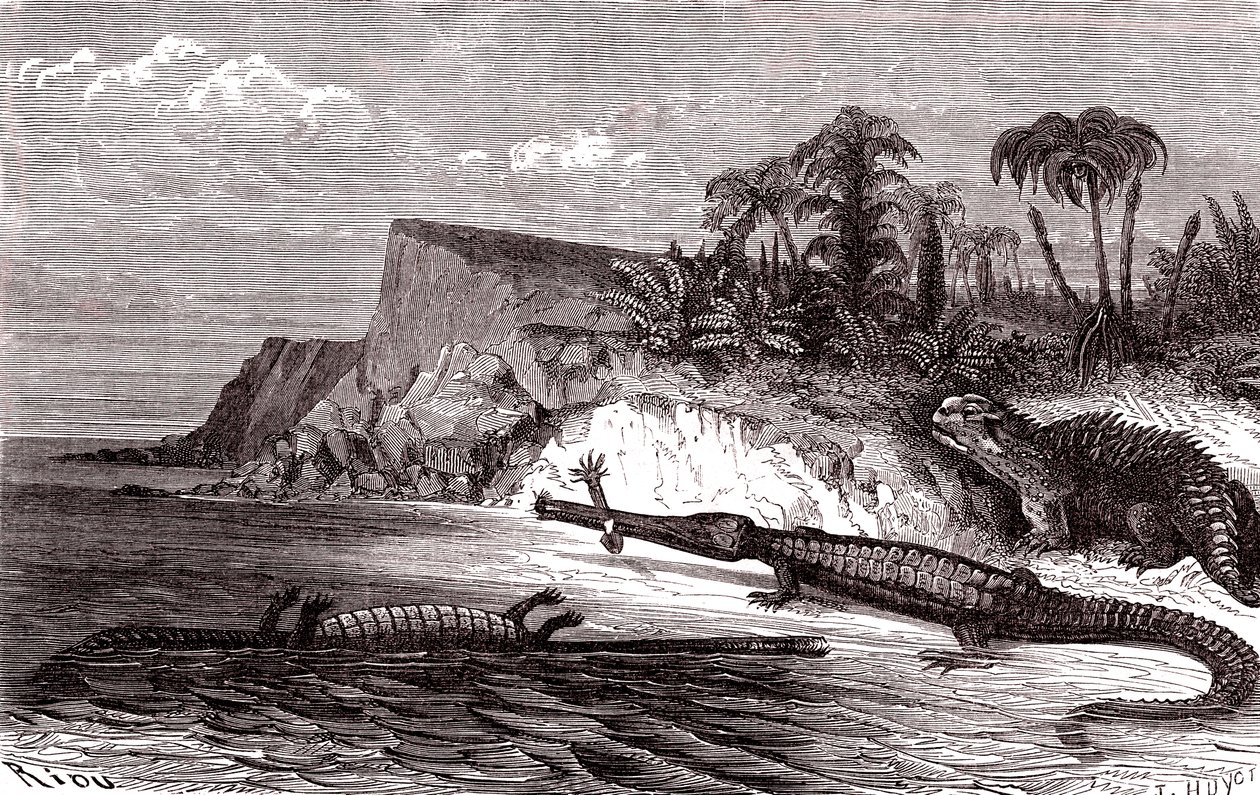 De Teleosaurus en de Hyleosaurus door Edouard Riou