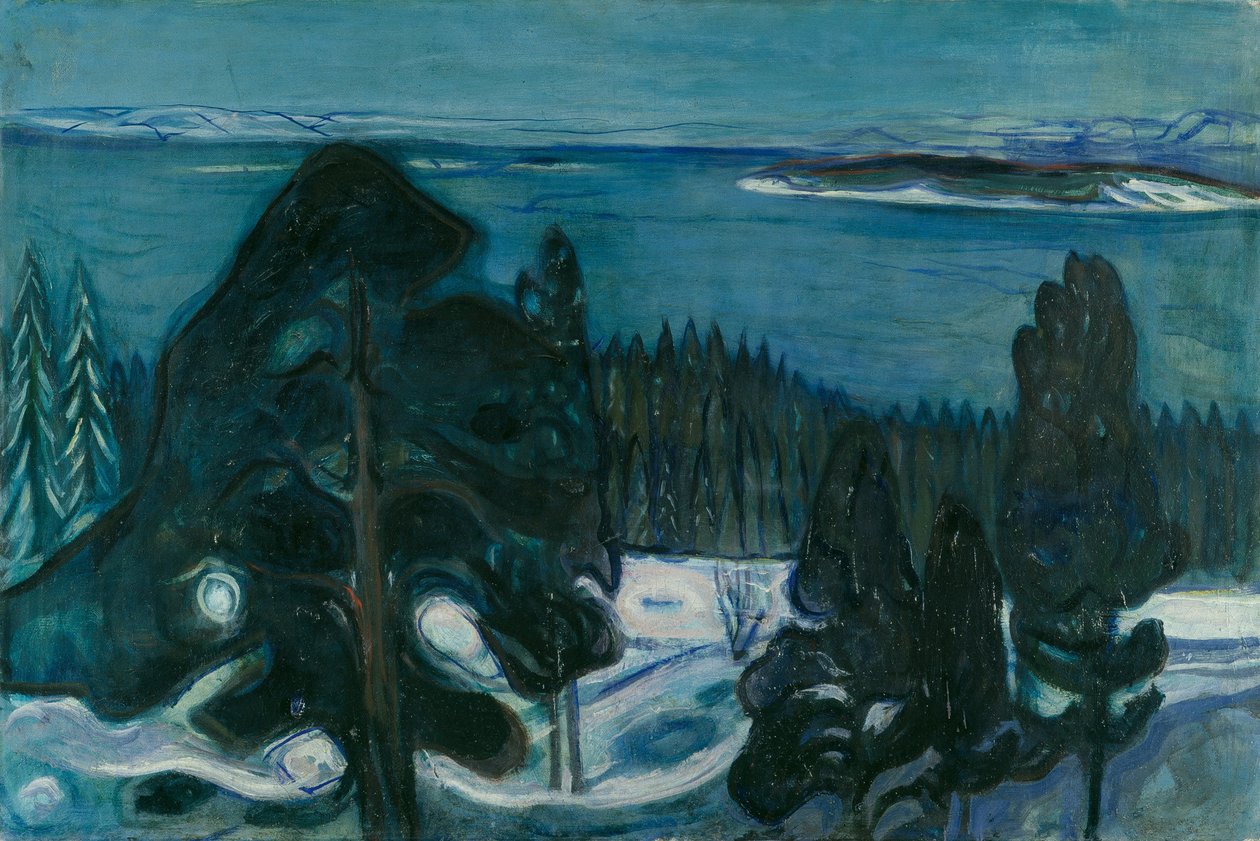 Winternacht door Edvard Munch