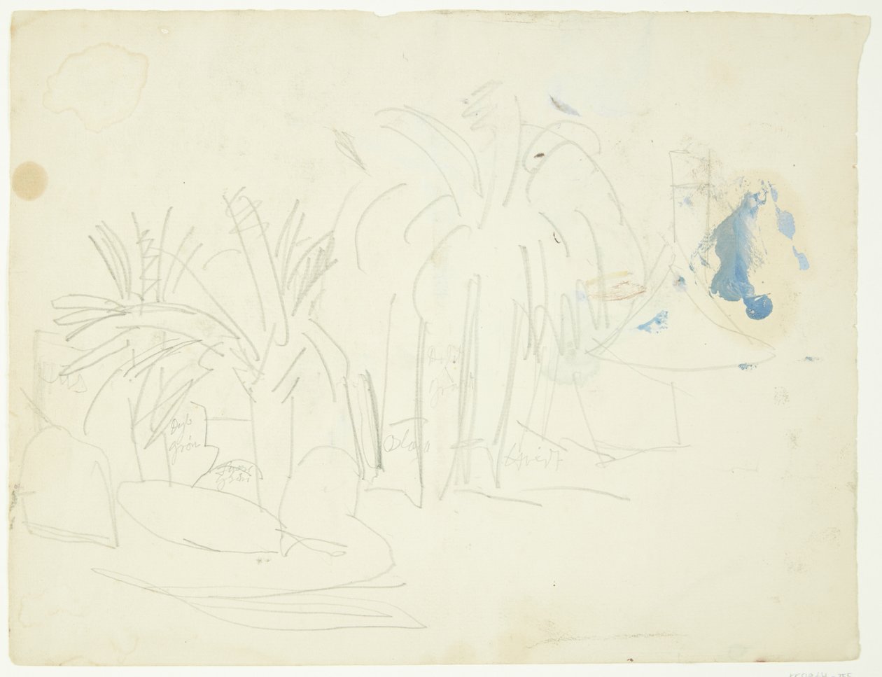 Landschap met palmen, Cannes door Edvard Weie