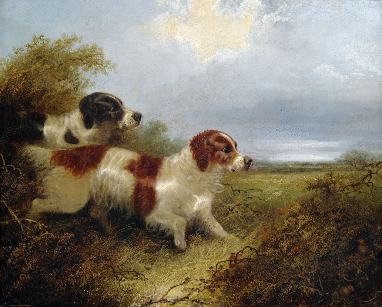 Twee terriërs door Edward Armfield