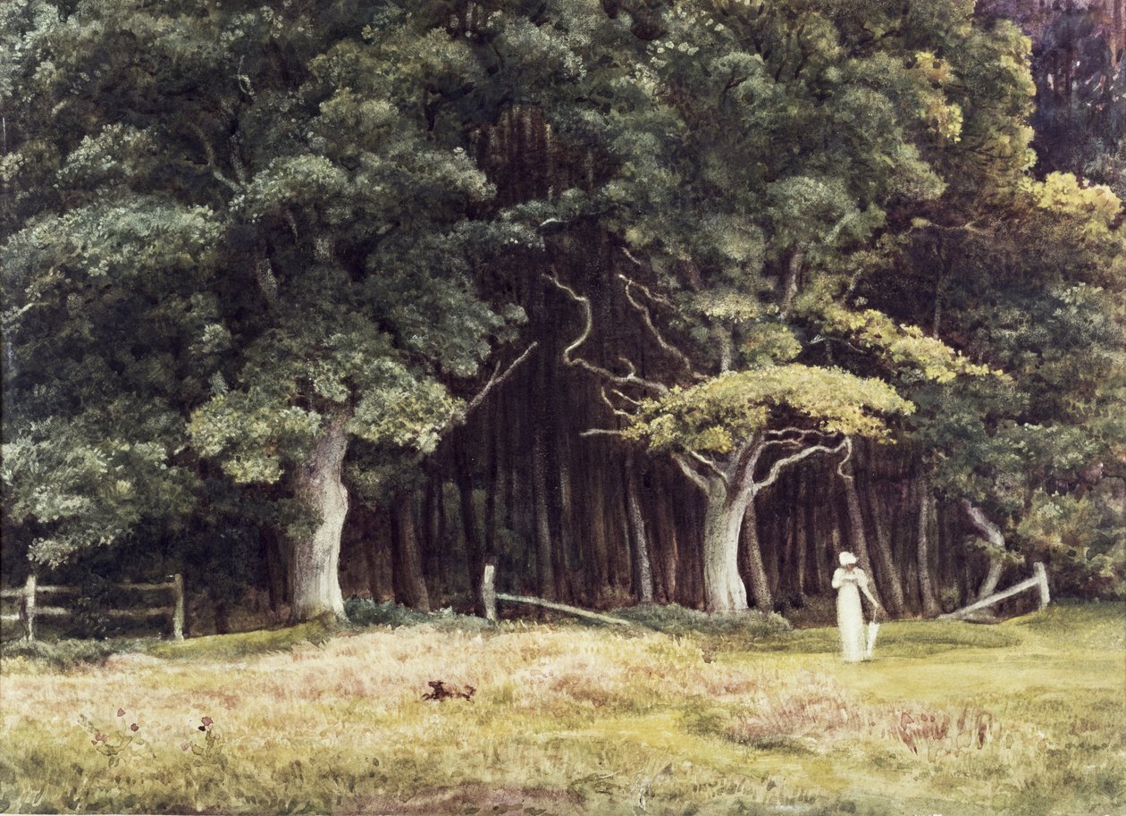 Het Beboste Landschap door Edward John Poynter