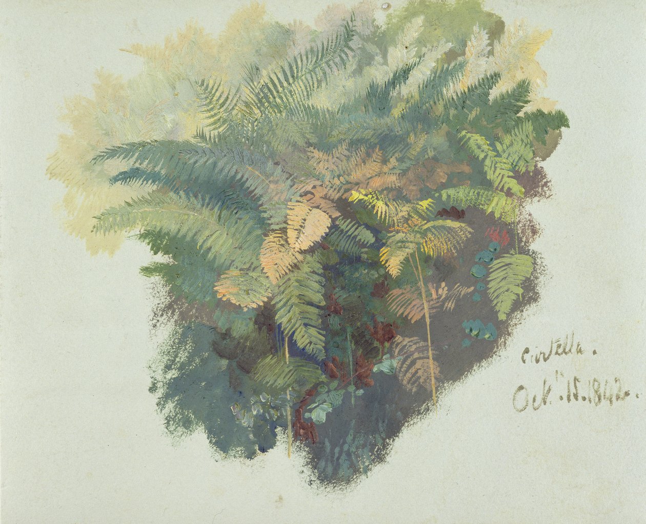 Een studie van varens, Citivella, 1842 door Edward Lear