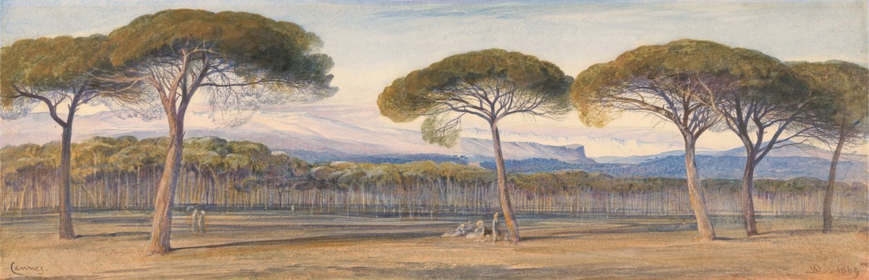 Een uitzicht op de pijnboombossen boven Cannes door Edward Lear