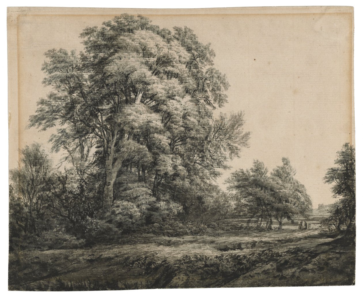 Boslandschap, ca. 1838-1848 door Edward Lear