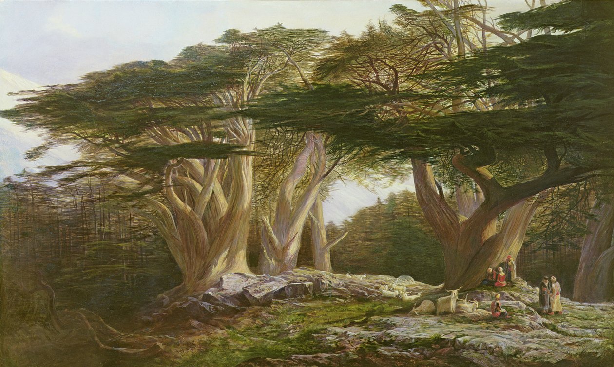De Ceders van Libanon, 1861 door Edward Lear