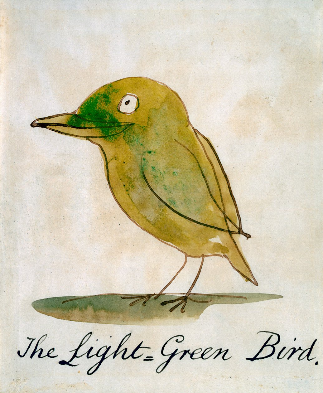 De lichtgroene vogel, uit 