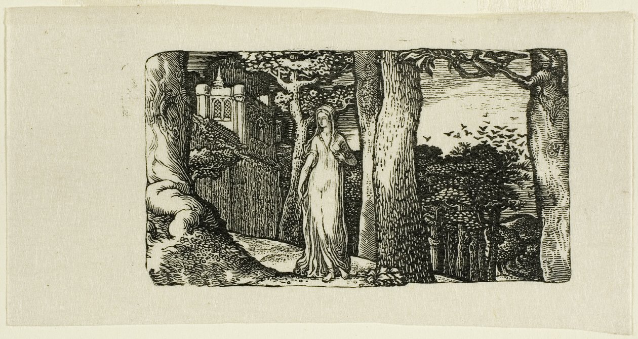 De dame en de roeken door Edward Calvert