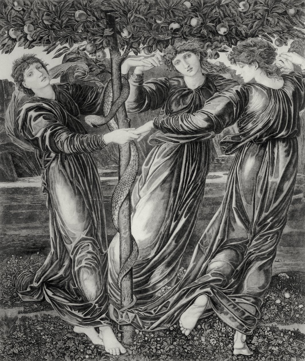 De Tuin van de Hesperiden door Edward Coley (after) Burne Jones