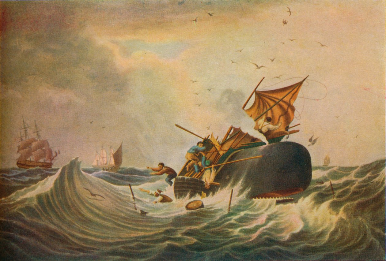 Zuidzee walvisvangst, 1836 door Edward Duncan