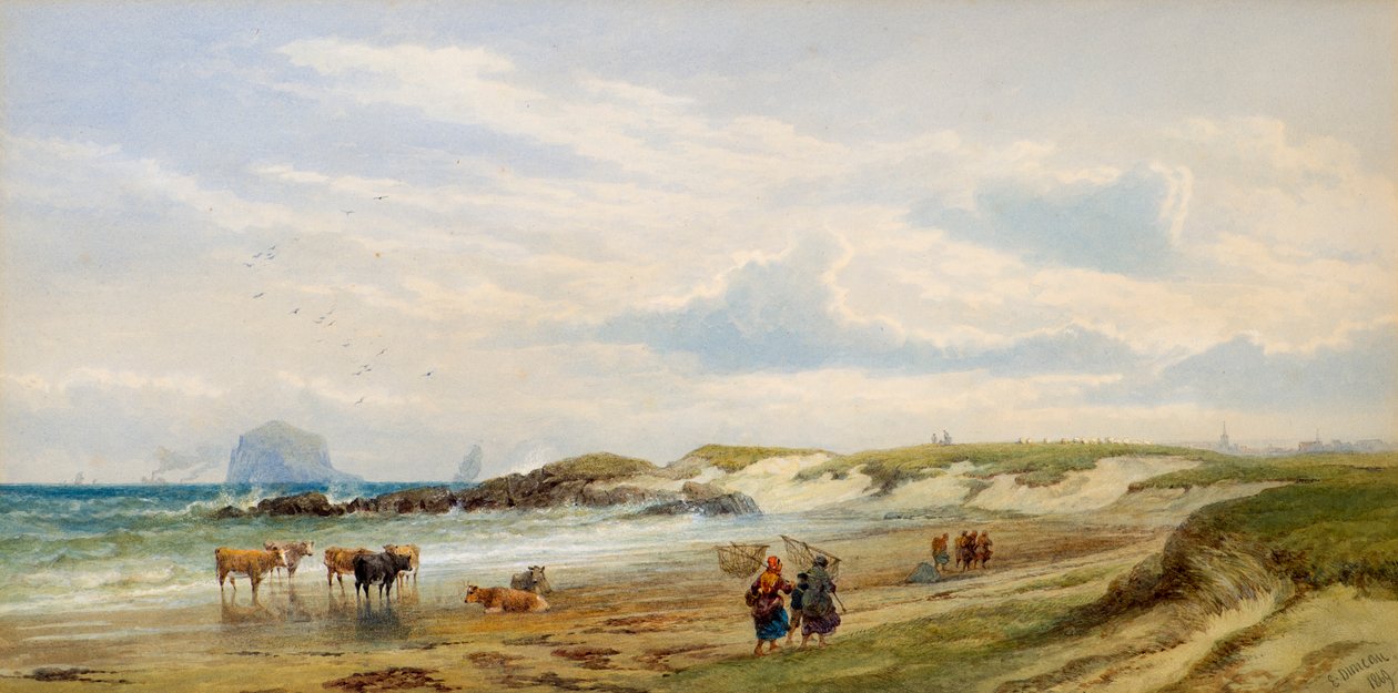 The Bass Rock door Edward Duncan