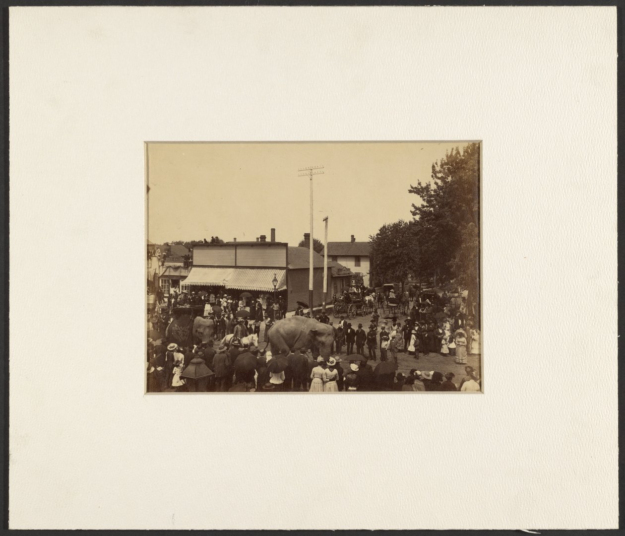 [Olifanten lopen door de stad, Maple City]. door Edward H. Hart